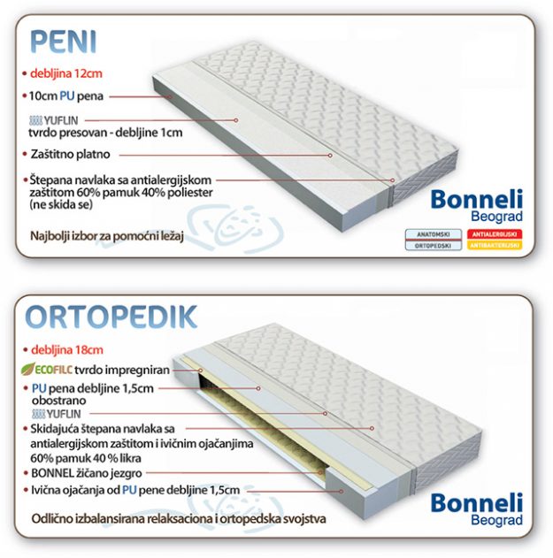 Bonneli5-308