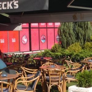 1930691_101880836496157_2786382_n