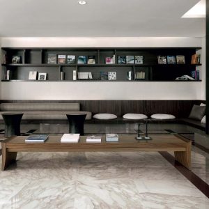 2051_003_ambzoom 2051_003_ambzoom