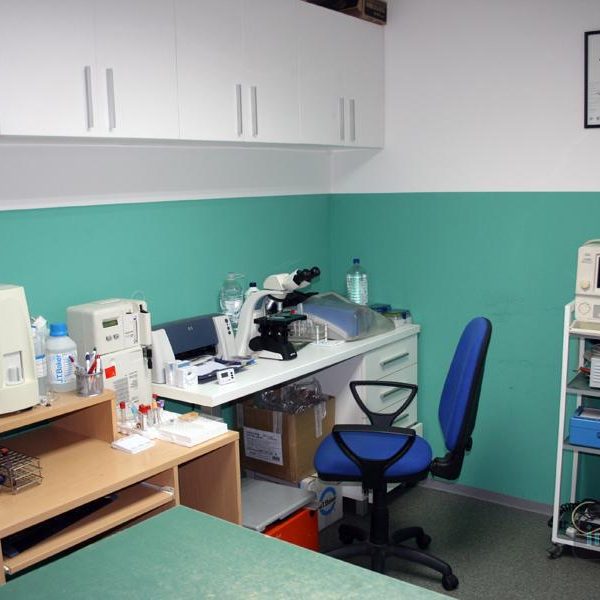 16409_331907370261813_247415265_n 16409_331907370261813_247415265_n