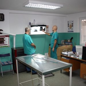 488090_331907446928472_1946135189_n 488090_331907446928472_1946135189_n